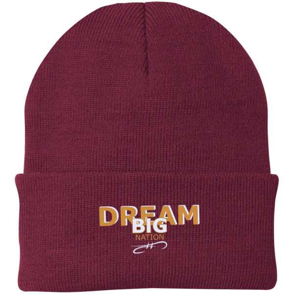 One Size Fits Most Knit Cap